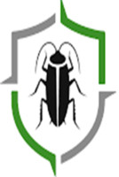 Termite Inspections Adelaide – Keep Your Property Safe and Secure