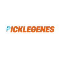 Best Pickleball Tournament Shirts for Players
