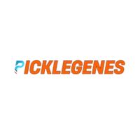 Best Pickleball Tournament Shirts for Players