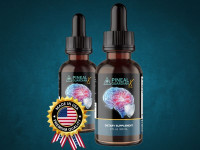 Can Pineal Guardian Boost Focus Every Day?