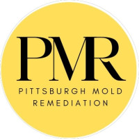 Pittsburgh Mold Remediation
