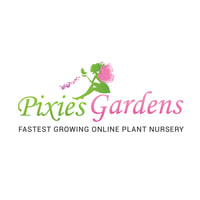 Pixie’s Gardens: Your Trusted Online Plant Nursery