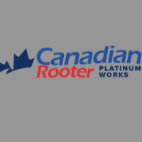Platinum Works