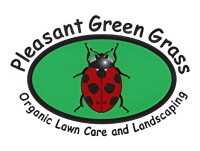 Pleasant Green Grass