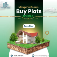 Approved Plots Near Jewar Airport – Trusted Investment from Maxpine Group