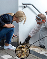 Pre-purchase Pest Inspections in Alexandra Headland