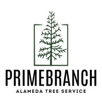 PrimeBranch Alameda Tree Service