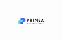 Prime’s Biz Consultancy – Panipat’s Best Agency for Complete Digital Marketing Solutions
