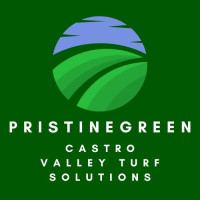 PristineGreen Castro Valley Turf Solutions