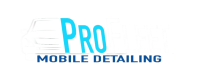 ProFleet Mobile Detailing