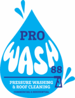 Pro Wash 88