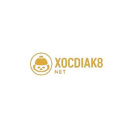 XÓC ĐĨA K8