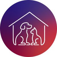 Aliyan Pet Store – Online Pet Supplies in Pakistan