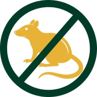 Pro Rodent Control – Hollywood, CA