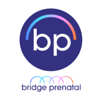 Bridge Prenatal - Expert Care for New Families