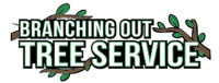 Pruning & Tree Pruning Farmingdale