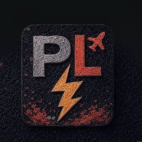 PulseLink Travel LLC