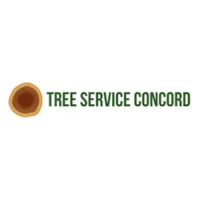 Quality Tree Service Concord