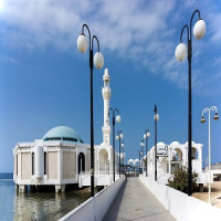FOR RUSSIAN CITIZENS - SAUDI Saudi Arabian Government Visa Center | Saudi Electronic Visa eVisa - Правительство Саудовской Аравии Виза Онлайн