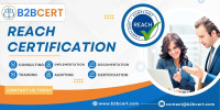 REACH Consultants in Bangalore