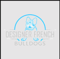 Designer French Bulldogs