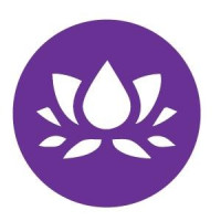 Auto Accident Chiropractor|Regenerative Wellness Center