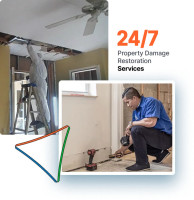 Top Mold Remediation Largo Services – Fast & Reliable Mold Removal