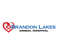 Brandon Lakes Animal Hospital