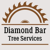 RockPack Diamond Bar Tree Services