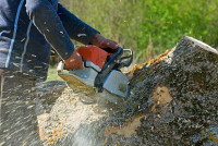 Rocky Mountain Services LLC