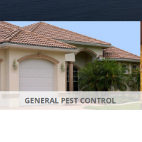 Rodent Solutions