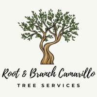 Root & Branch Camarillo Tree Services