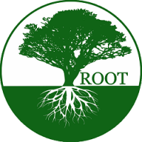 Root Cleaning Solutions