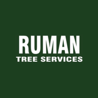 Tree pruning Services in Arlington VA