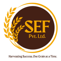 Shah Enterprises Fbd Pvt. Ltd