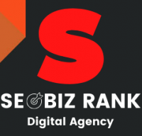 SEO Biz Rank