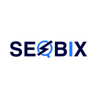 SEObix (Best PPC Company in Noida