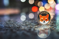 Price Potential of Shiba Inu Coin Every Investor Should Know About