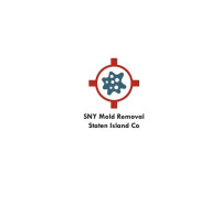 SNY Mold Removal Staten Island CoENV