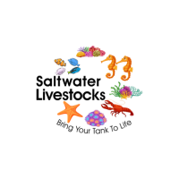 Salt Water Live Stocks