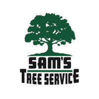 Sam's Tree Services