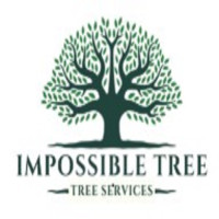 Impossible Tree LLC