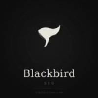 Blackbird SEO