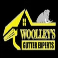 Woolley's Gutter Experts San Diego