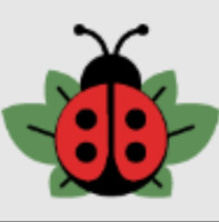 Bug & Bloom