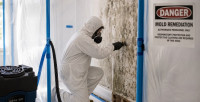 Gainesville Mold Remediation