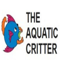 Aquatic Critter