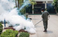 Plano Pest Control Experts