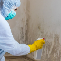 Brick City Mold Solutions