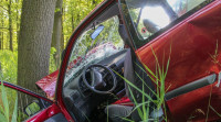 Tall Willows Car Accident Attorney